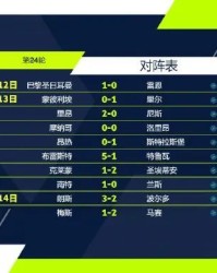  雷恩绝杀洛里昂 升至积分榜次席位置  